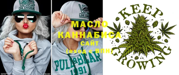 мет Алексин