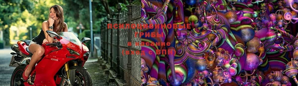 гидропоника Новокубанск