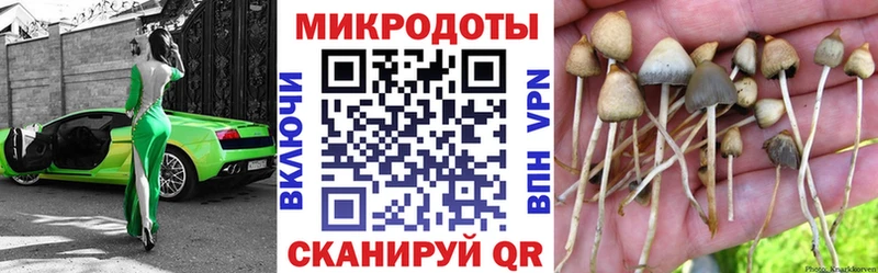 Псилоцибиновые грибы Magic Shrooms Игарка