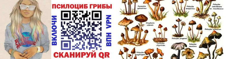 Галлюциногенные грибы мицелий  Игарка 